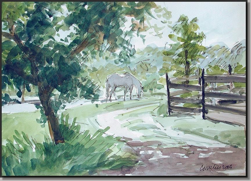 whitehorse